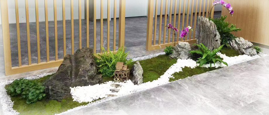 �����̻�����ֲ��